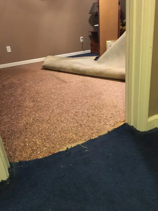 Carpet pad removal revealing water damage during Drying & Dehumidification in McLendon-Chisholm