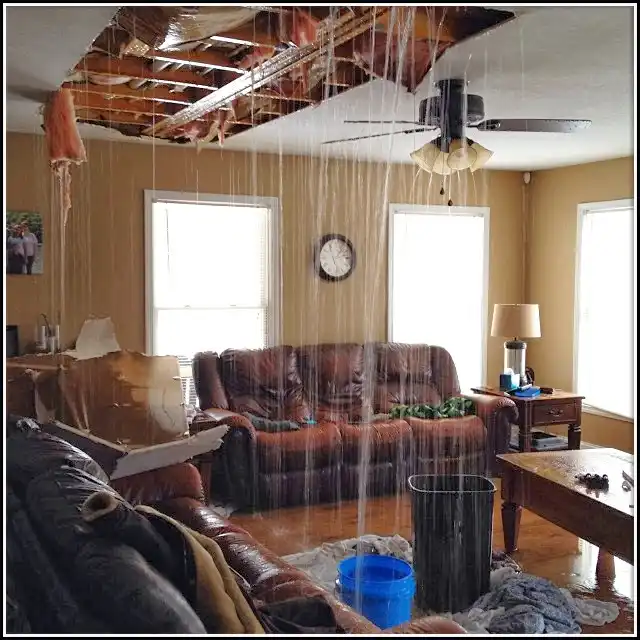 Water Damage Restoration services in McLendon-Chisholm, TX