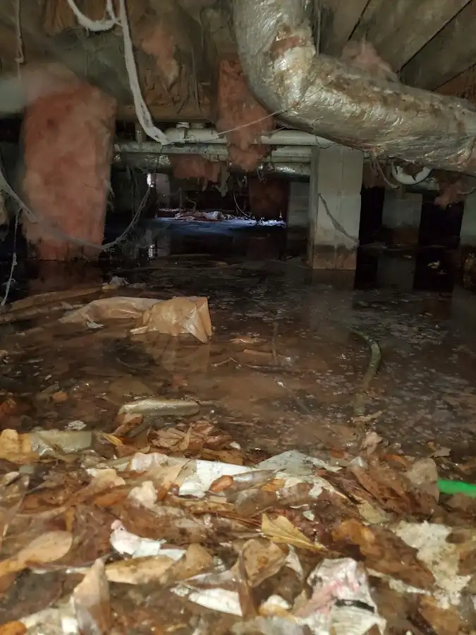 Crawl space flood assessment for Commercial Water Damage Restoration in McLendon-Chisholm