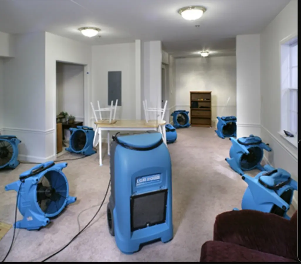 Air movers and dehumidifier setup for Water Extraction & Removal in McLendon-Chisholm