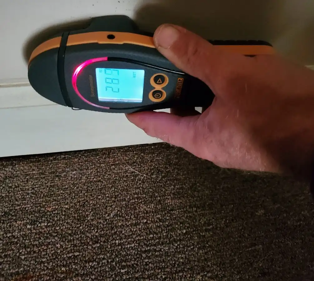 Moisture detection at baseboard during Burst Pipe Cleanup in McLendon-Chisholm